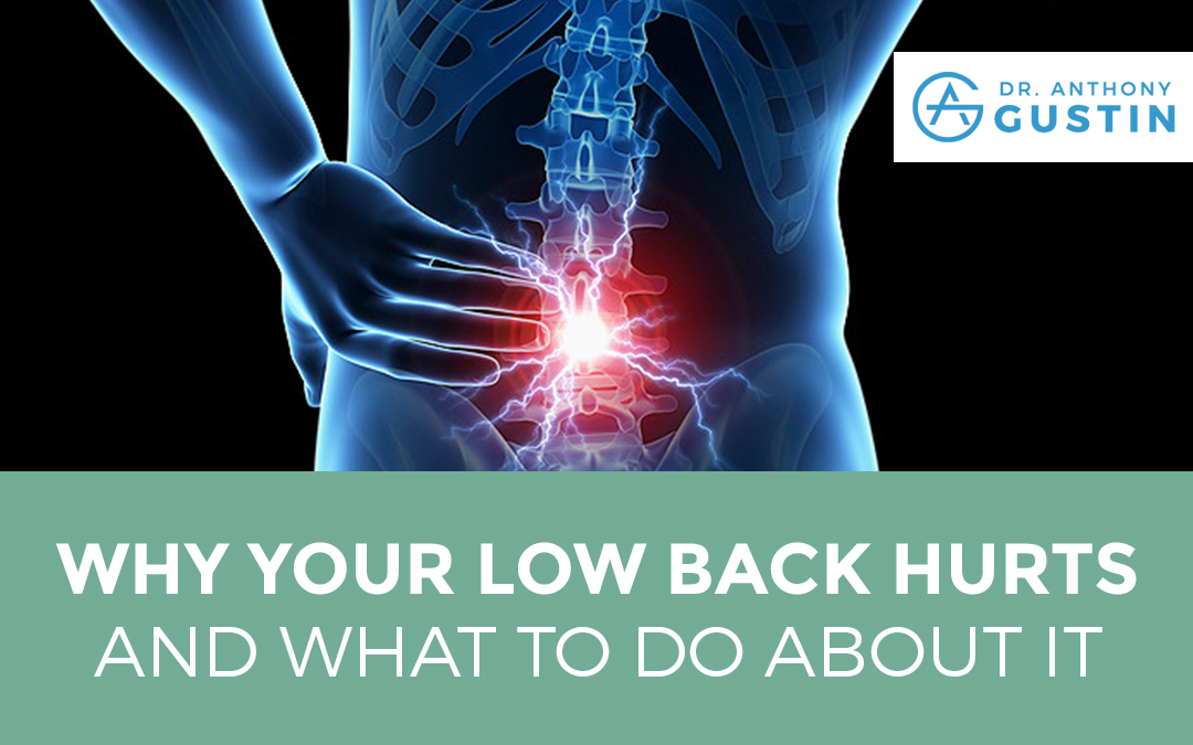 Why Your Low Back Hurts and What To Do About It Dr. Anthony Gustin